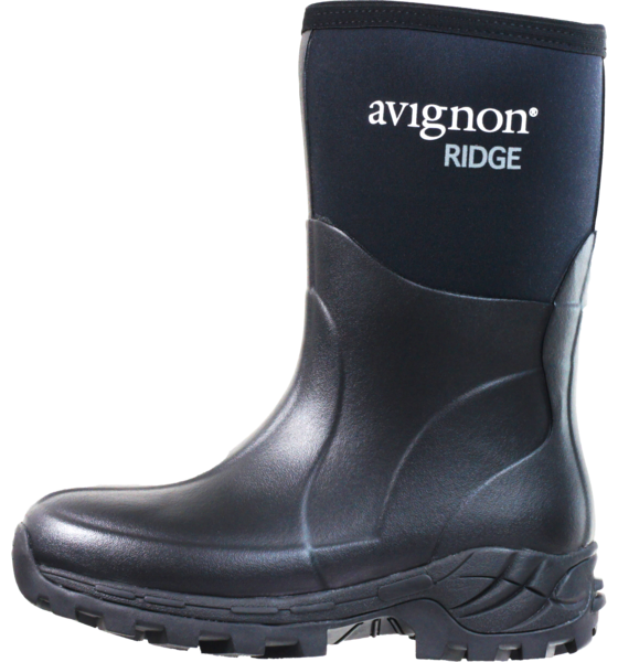 AVIGNON Ridge Mid på