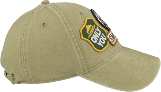 AMERICAN NEEDLE Smokey Bear Iconic på