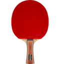 STIGA Stiga Bordtennisracket Allround Classic Classic - Star Future - Control Level 1 på