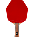 STIGA Stiga Bordtennisracket Allround Classic Cybershape Classic - Star Future Control Level 1 på