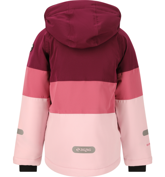 ZIGZAG Taylor Ski Jacket på