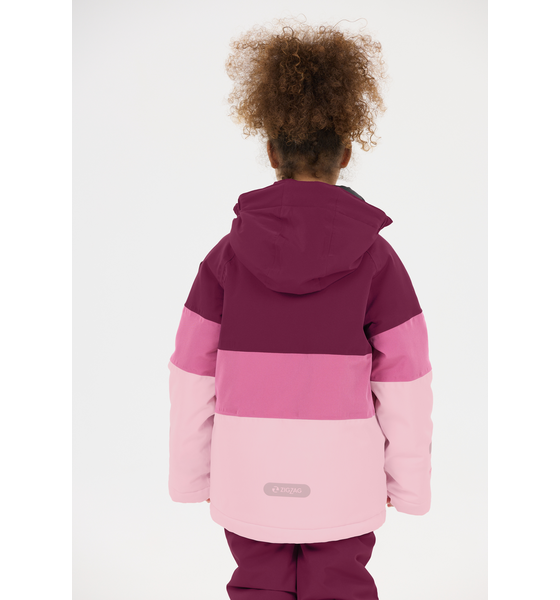 ZIGZAG Taylor Ski Jacket på