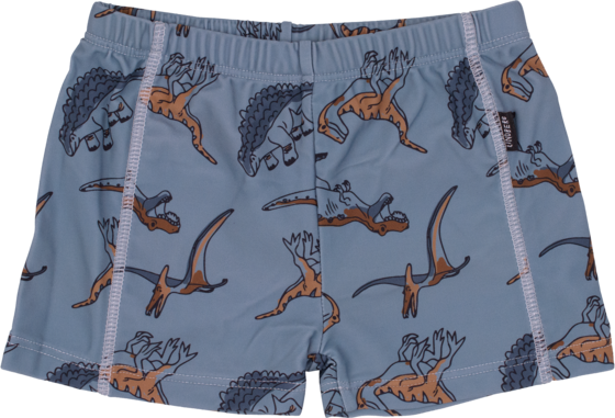 LINDBERG Thor Swim Trunks på