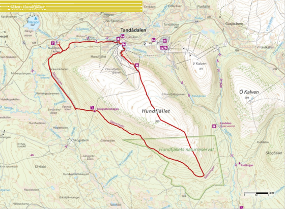 CALAZO Vandra I Sälen Och Fulufjällets Nationalpark på