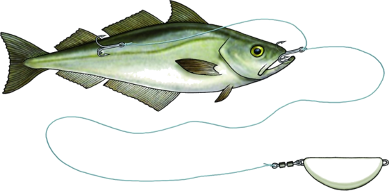 WESTIN Westin Halibut Anti Twist Rig 450g Glow på