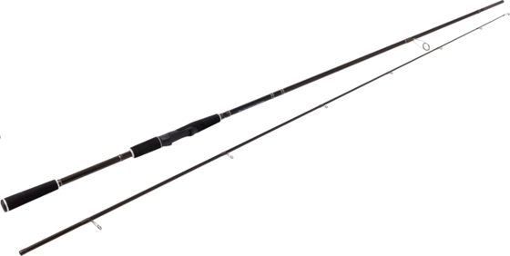 WESTIN Westin W2 Powerteez 8'4"/250cm M 14-49g 2sec på
