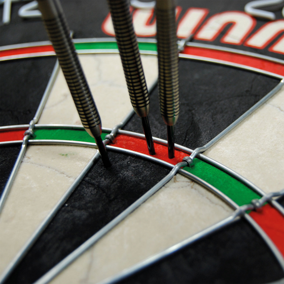 WINMAU Winmau Pro Sfb Dartboard på