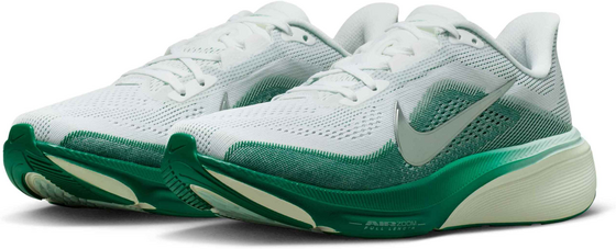 NIKE Women's Road Running Shoes Pegasus 42 på