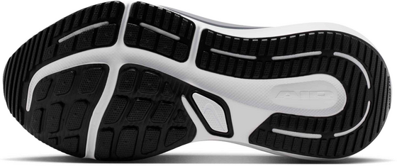 NIKE Women's Road Running Shoes Winflo 12 på
