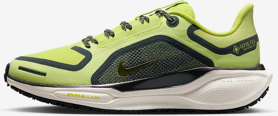 NIKE Women's Waterproof Road Running Shoes Pegasus 41 Gore-tex på