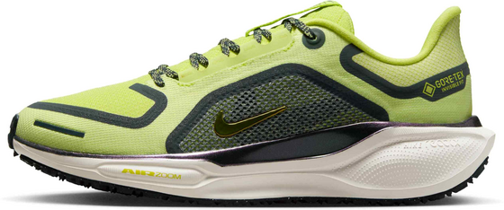 NIKE Women's Waterproof Road Running Shoes Pegasus 41 Gore-tex på