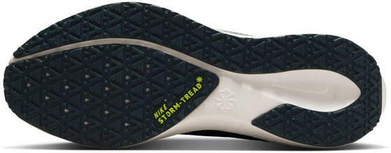 NIKE Women's Waterproof Road Running Shoes Pegasus 41 Gore-tex på