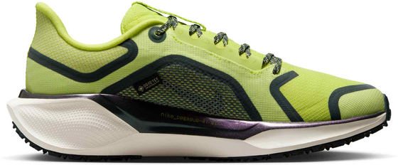 NIKE Women's Waterproof Road Running Shoes Pegasus 41 Gore-tex på