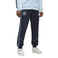 PUMA Mcfc King Anthem Pant på