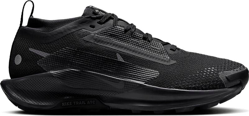NIKE W Pegasus Trail 5 Gore-Tex på