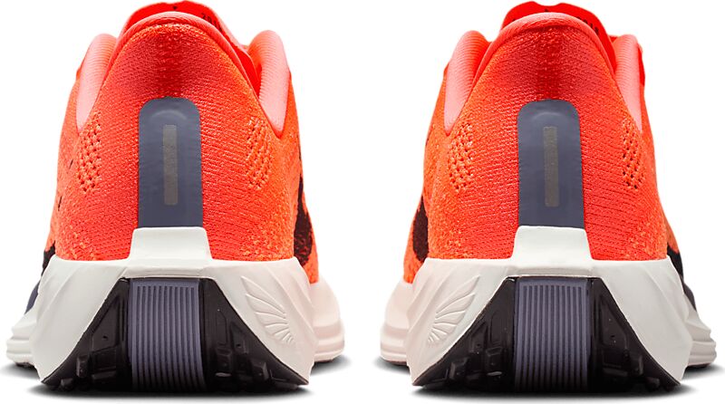 NIKE W Pegasus Plus på
