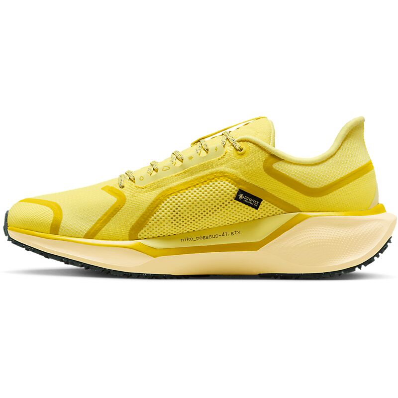 NIKE M Pegasus 41 Gore-Tex på