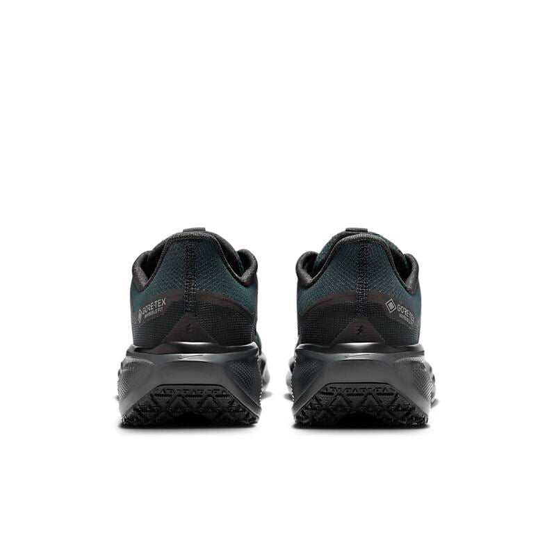 NIKE M Pegasus 41 Gore-Tex på