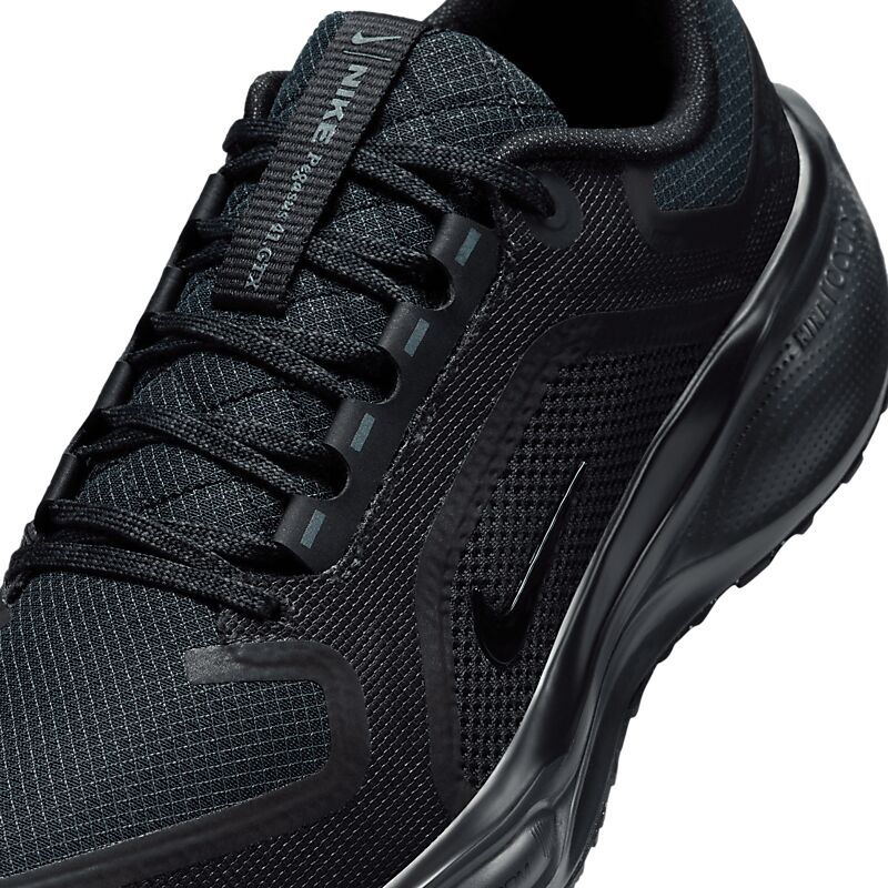 NIKE W Pegasus 41 Gore-Tex på