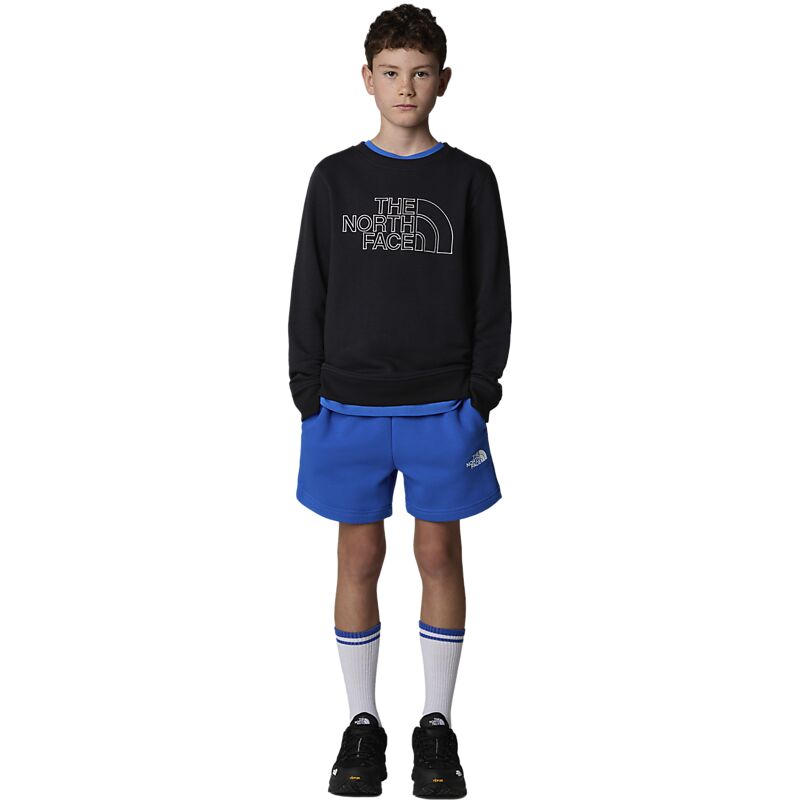 THE NORTH FACE J Regular Cotton Shorts på