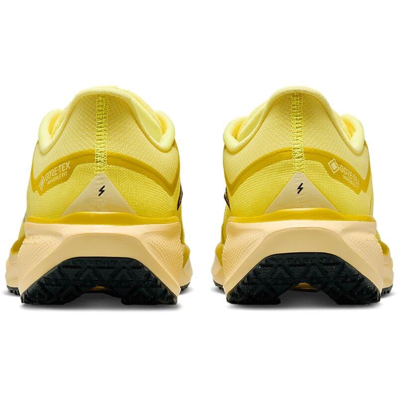 NIKE M Pegasus 41 Gore-Tex på