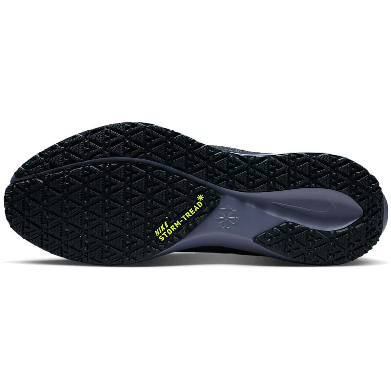 NIKE M Pegasus 41 Gore-Tex på