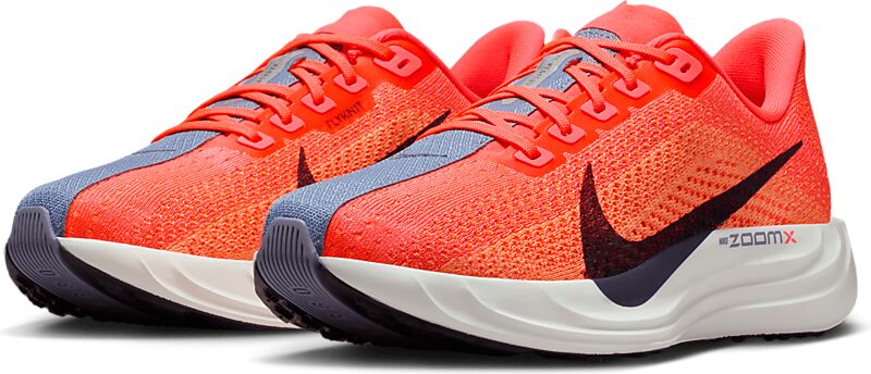 NIKE W Pegasus Plus på