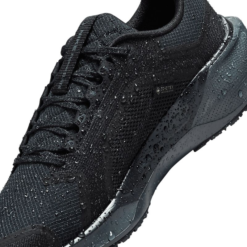NIKE W Pegasus 41 Gore-Tex på