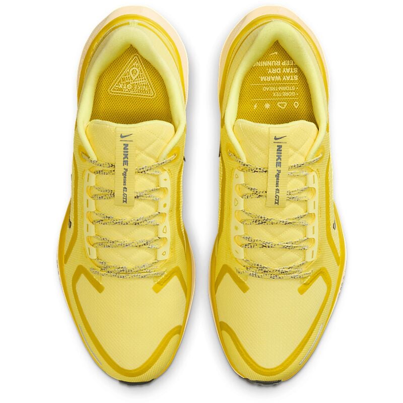 NIKE M Pegasus 41 Gore-Tex på