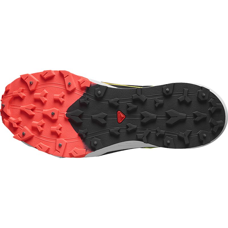 SALOMON Winter Cross Spike på