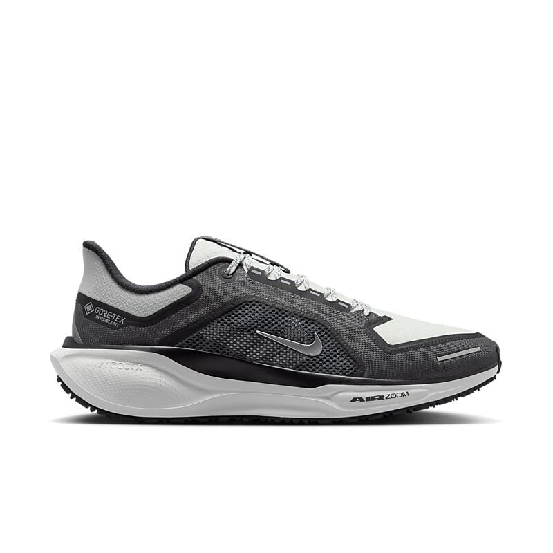 NIKE M Pegasus 41 Gore-Tex på