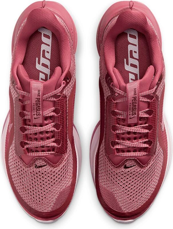NIKE W Pegasus Premium på