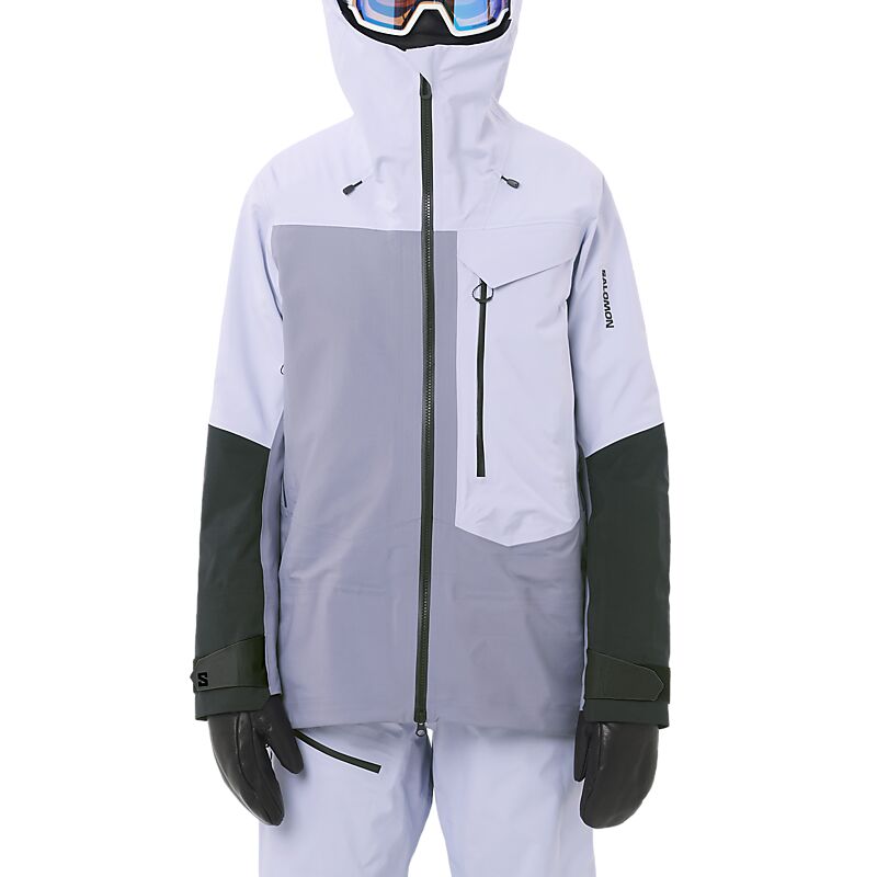 SALOMON W Moon Patrol Gtx Jacket på