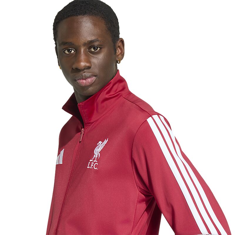 ADIDAS LFC DNA TT på