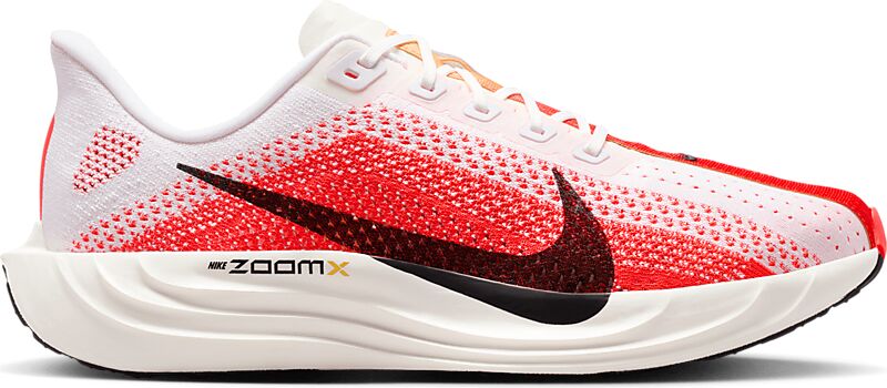 NIKE M Pegasus Plus på