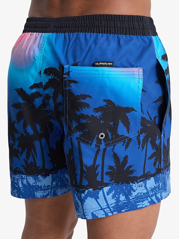 QUIKSILVER M EVERYDAY PRINTED VOLLEY 15 på