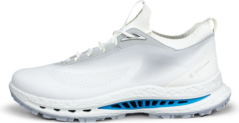 ECCO M GOLF BIOM C5 LACE GTX på