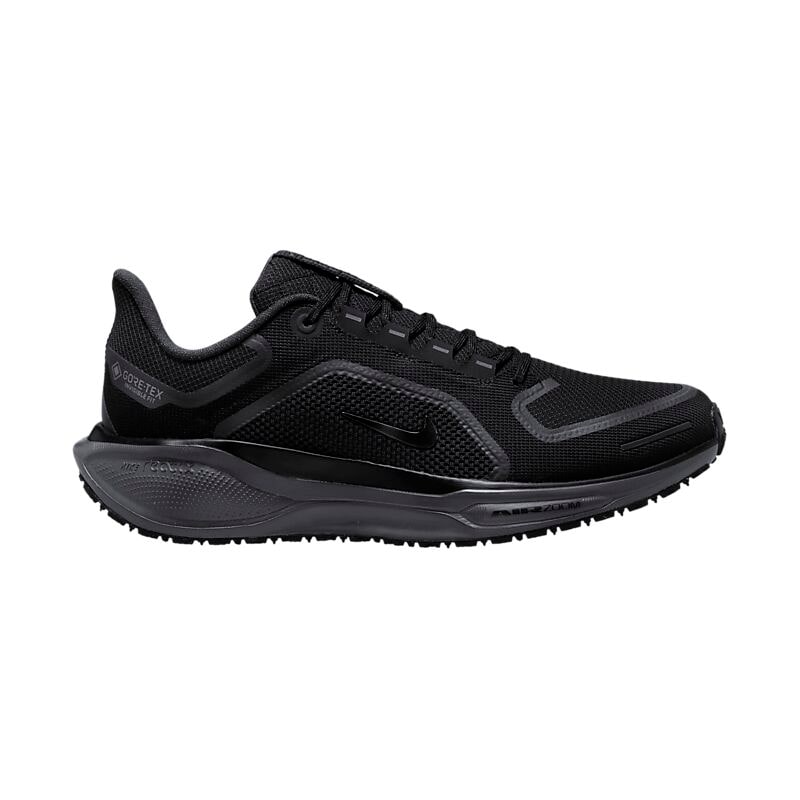 NIKE M Pegasus 41 Gore-Tex på