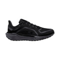 NIKE M Pegasus 41 Gore-Tex på