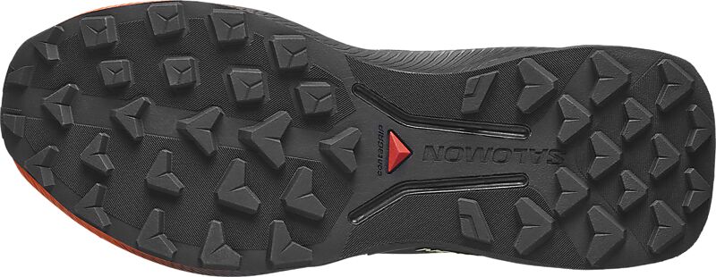 SALOMON W GENESIS 2 på