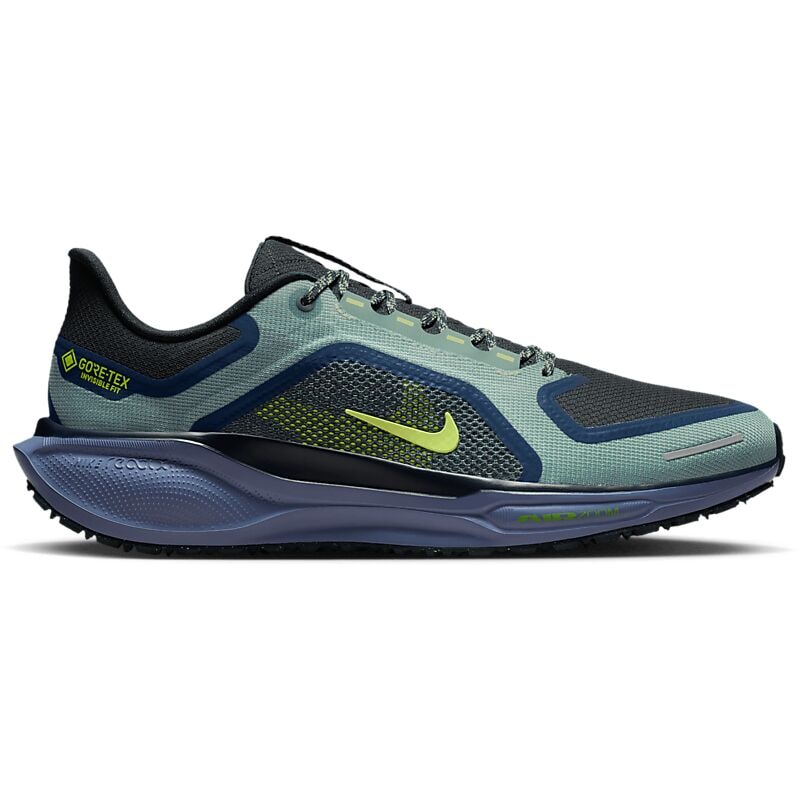 NIKE M Pegasus 41 Gore-Tex på