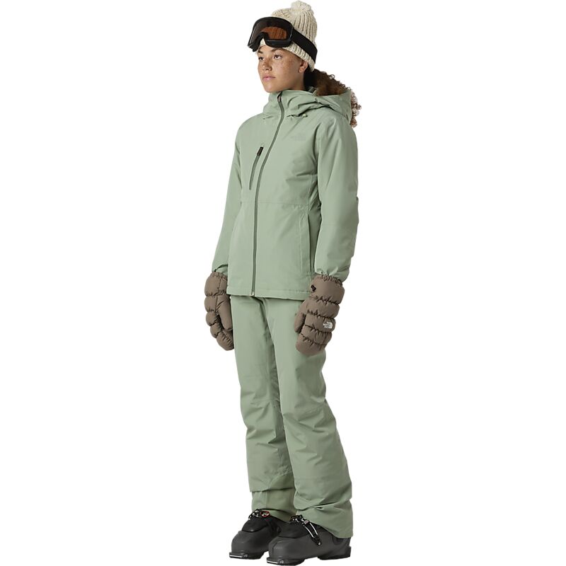 THE NORTH FACE W Descendit Jacket på