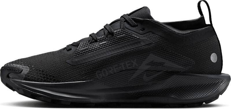 NIKE W Pegasus Trail 5 Gore-Tex på