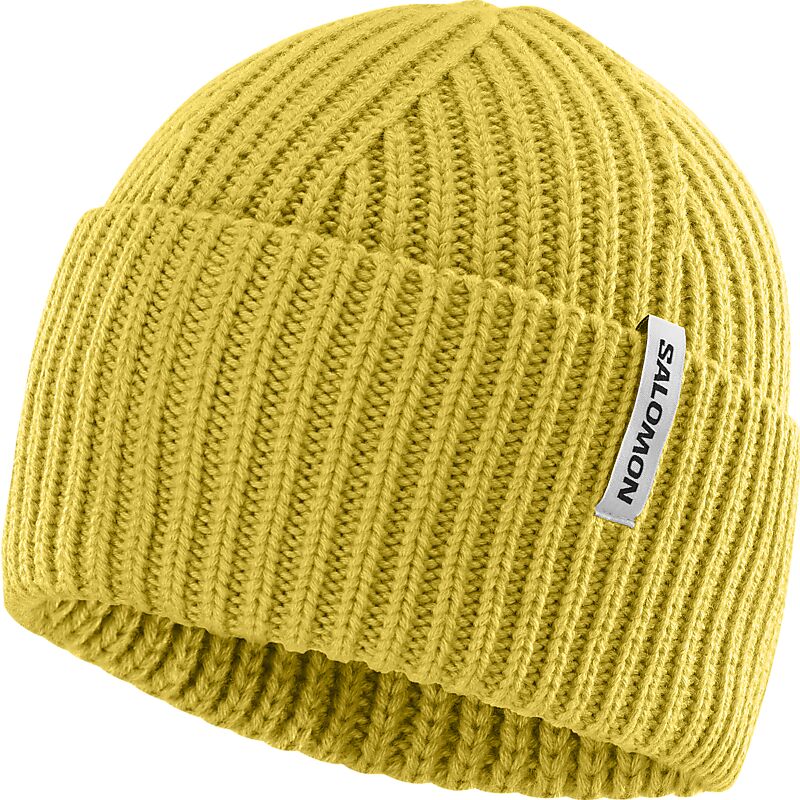 SALOMON U Snowbird Beanie på