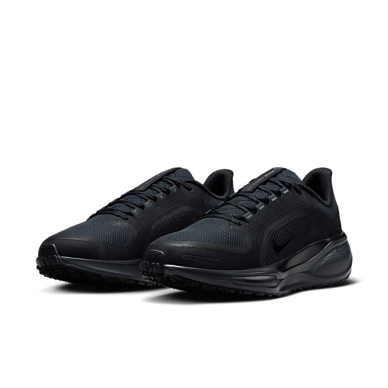 NIKE W Pegasus 41 Gore-Tex på