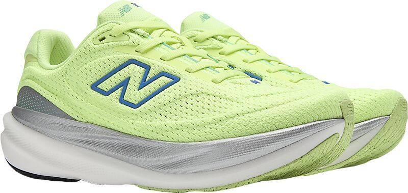 NEW BALANCE W 1080 V15 på