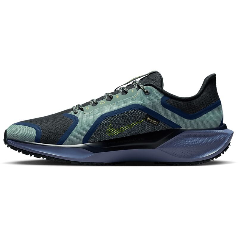 NIKE M Pegasus 41 Gore-Tex på