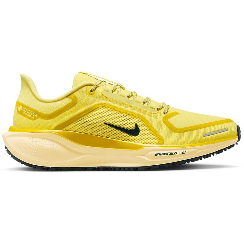 NIKE M Pegasus 41 Gore-Tex på