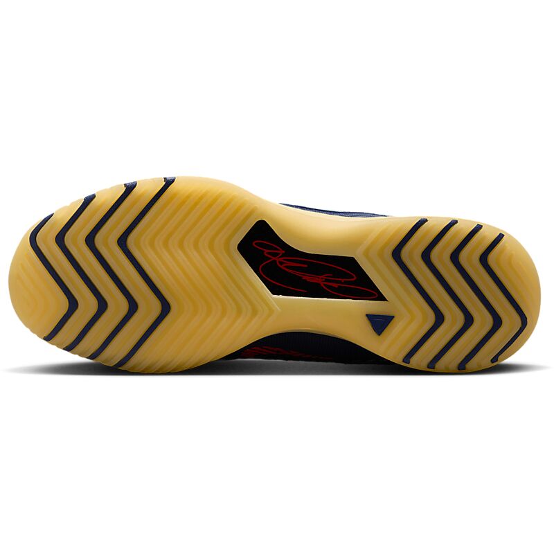 NIKE Lbj Nxxt Genisus på