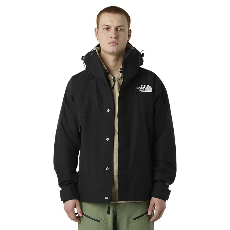 THE NORTH FACE M Gtx Mountain Jacket på